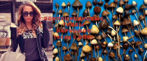 кокс Беломорск