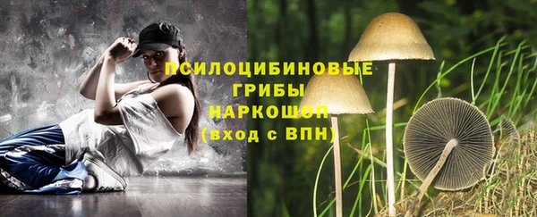 трава Кодинск