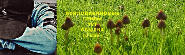 MDMA Белоозёрский