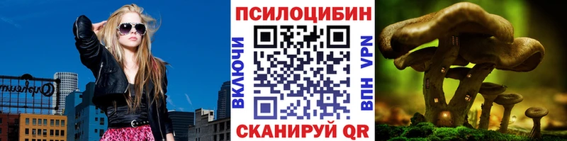 купить наркотики цена  Гаврилов-Ям  Галлюциногенные грибы Psilocybine cubensis 